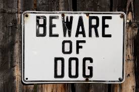 arizona dog bite laws